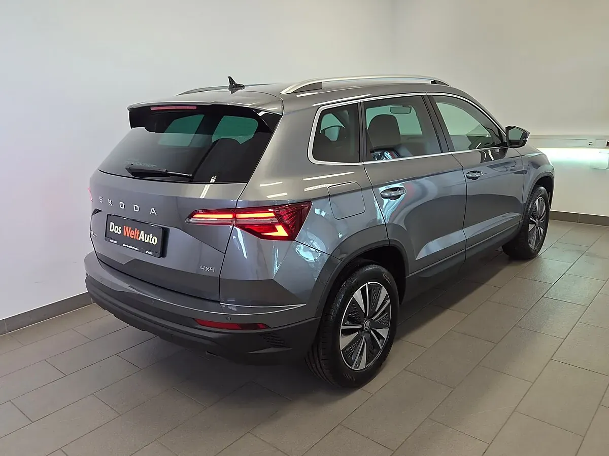 Skoda Karoq 2026 photo 2