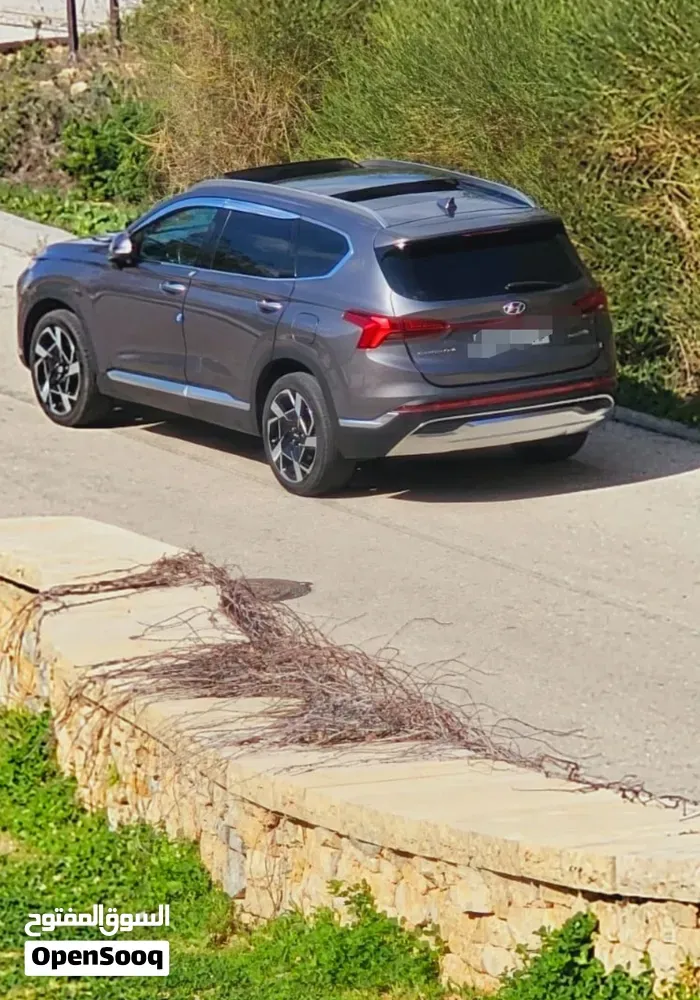 Hyundai Santa Fe 2020 photo 2