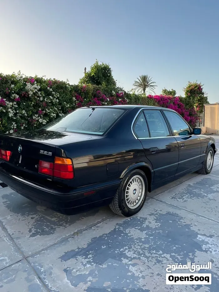 BMW 5 Series 1995 photo 4