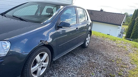 Volkswagen Golf V 2007 photo 2