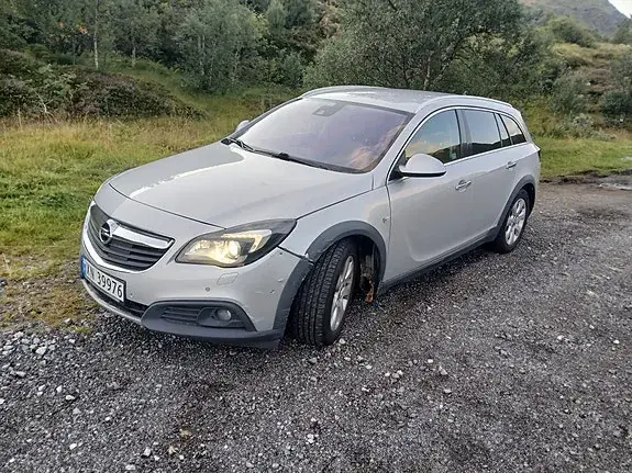 Opel Insignia Country Tourer 2014 photo 3