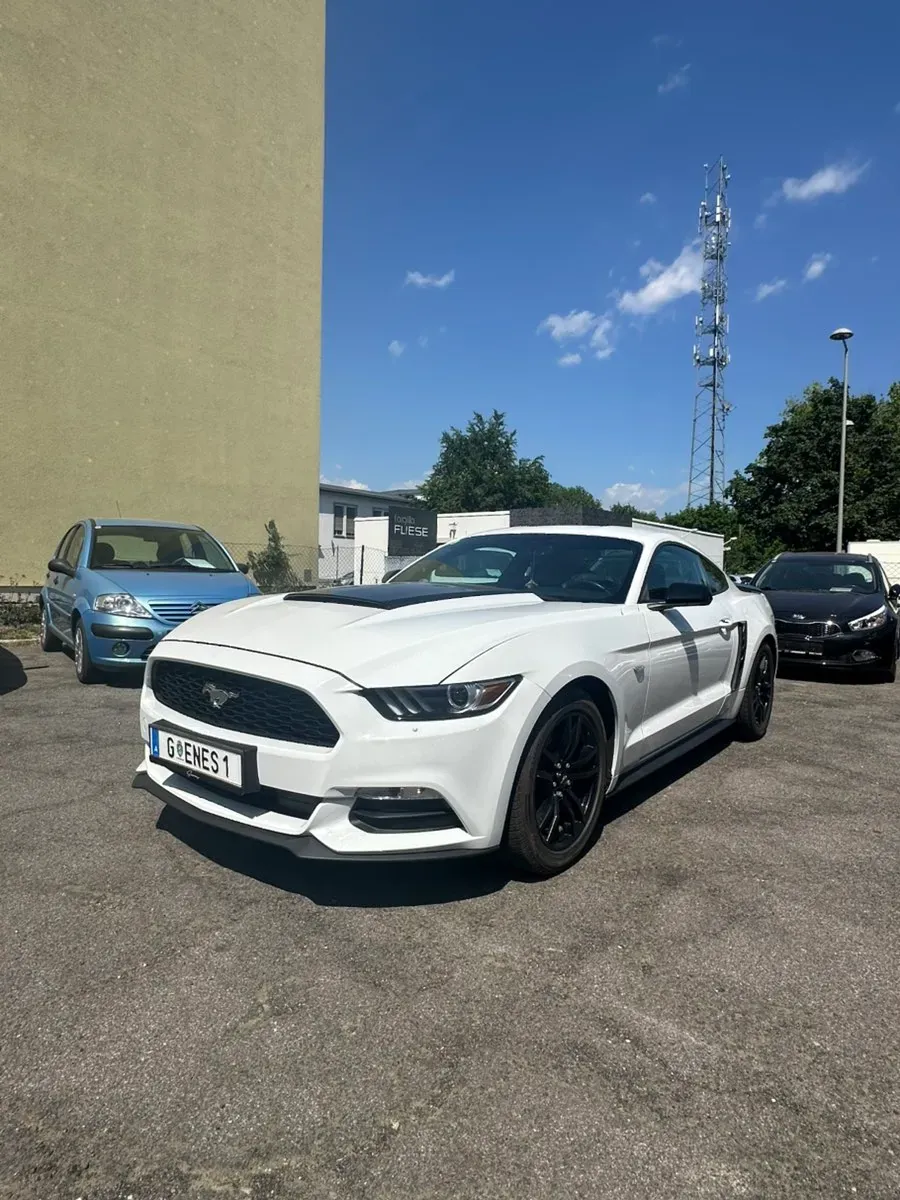 Ford Mustang 2015 photo 2