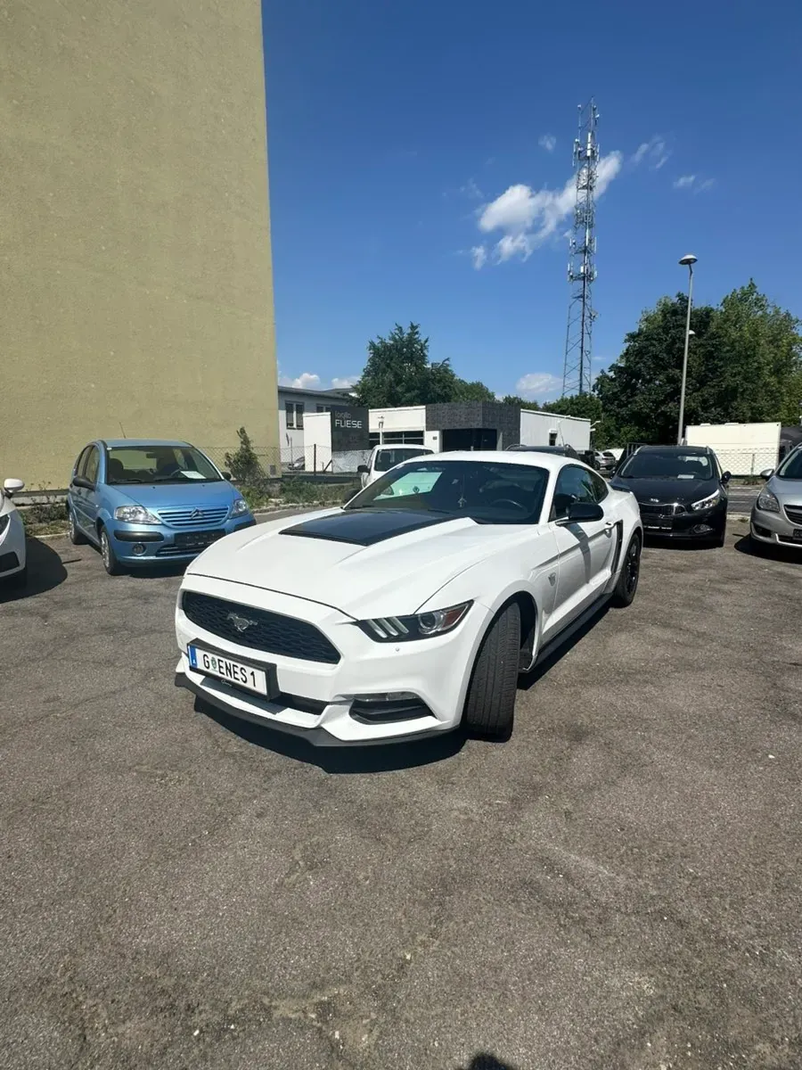 Ford Mustang 2015 photo 3