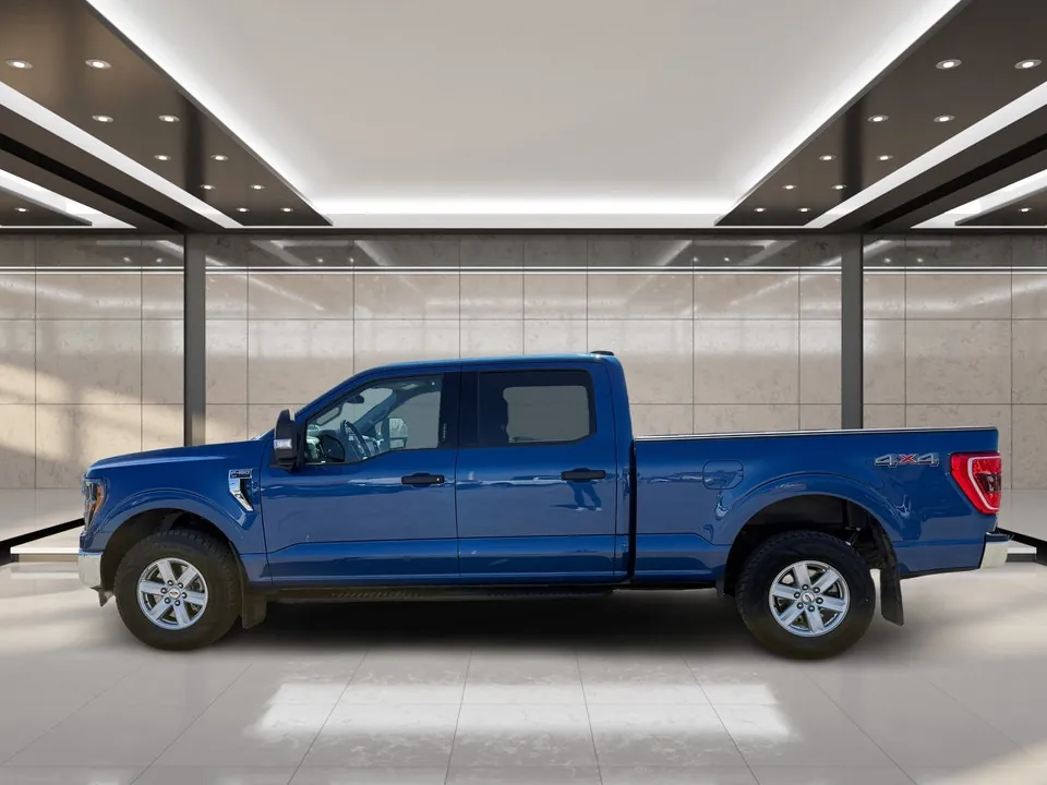 Ford F-150 2023 photo 4