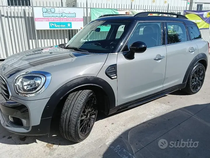 Mini Mini Countryman