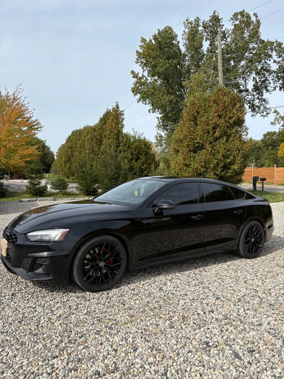 Audi S5 Sportback 2023 photo 4
