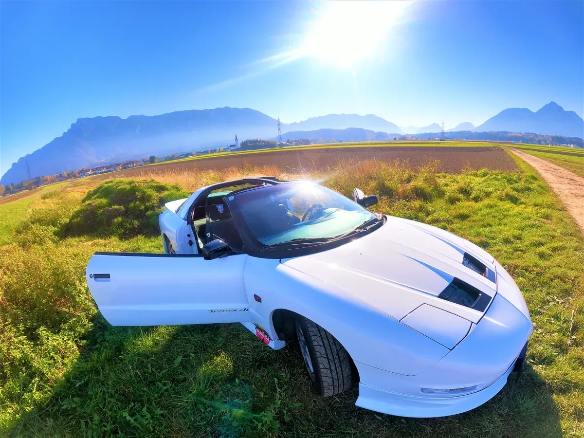 Pontiac Firebird 1994 photo 2