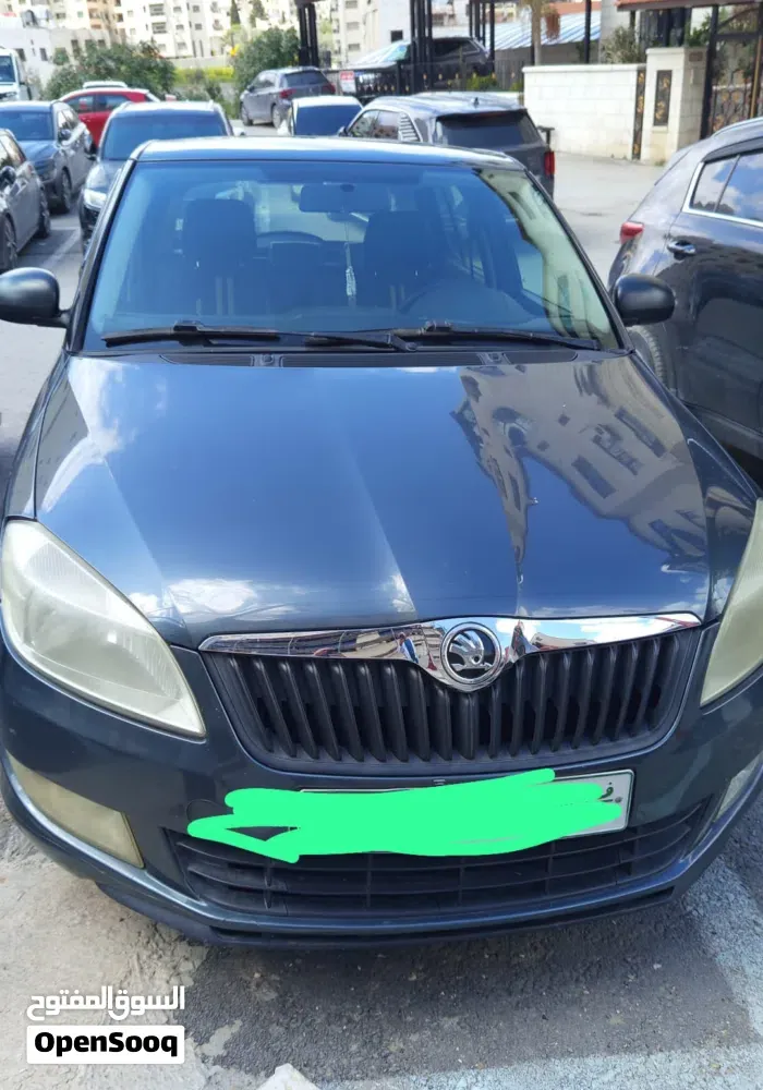 Skoda Fabia 2013 photo 5