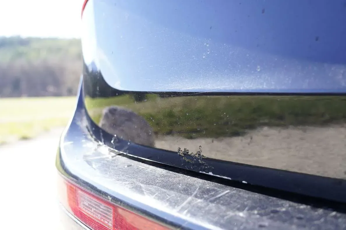 Audi Q5 2009 photo 3