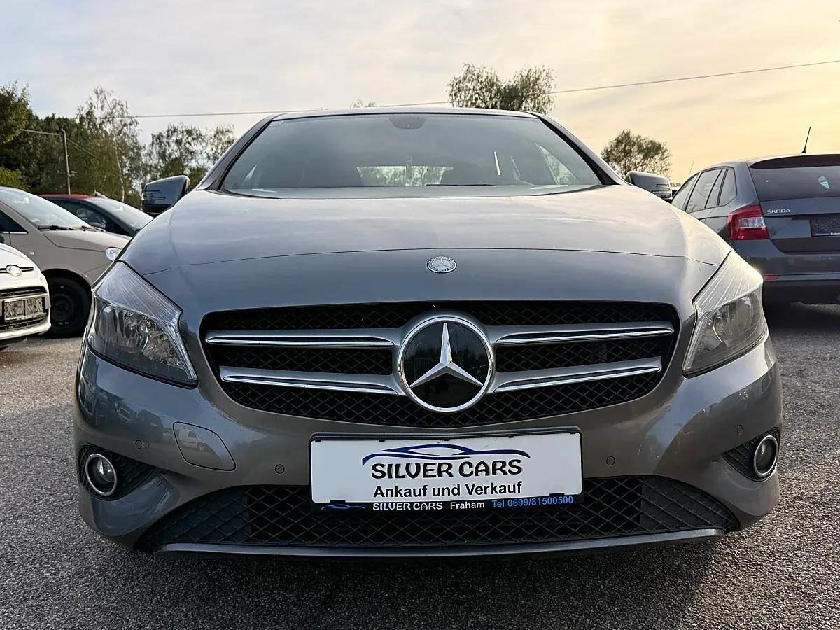 Mercedes-Benz A-Class 2013 photo 2