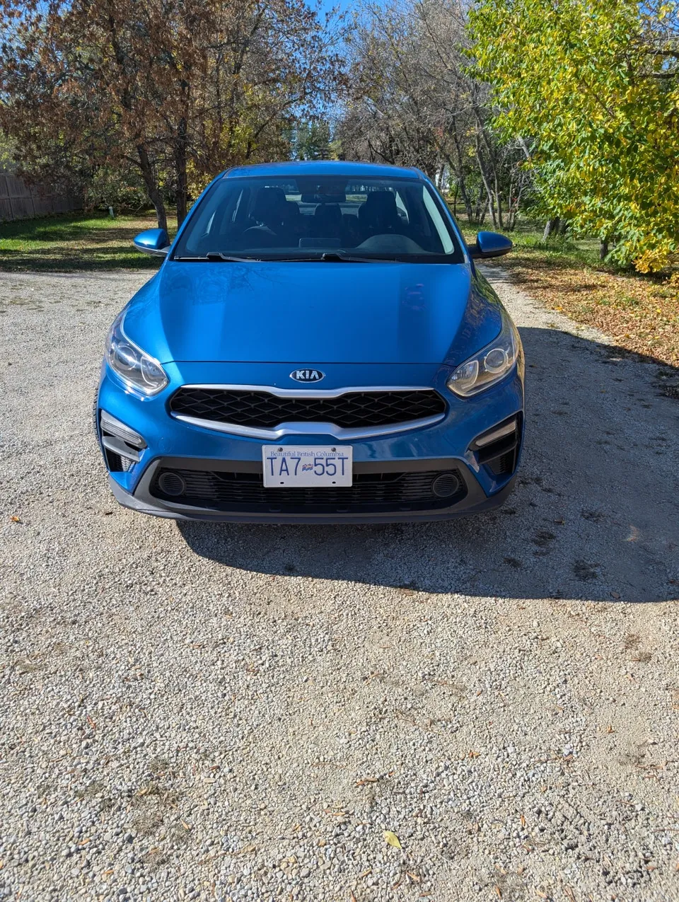 Kia Forte 2021 photo 3