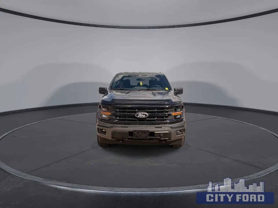Ford F-150 2025 photo 3