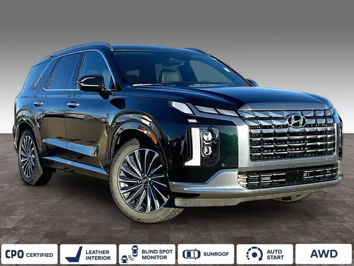 Hyundai Palisade 2024 photo 2