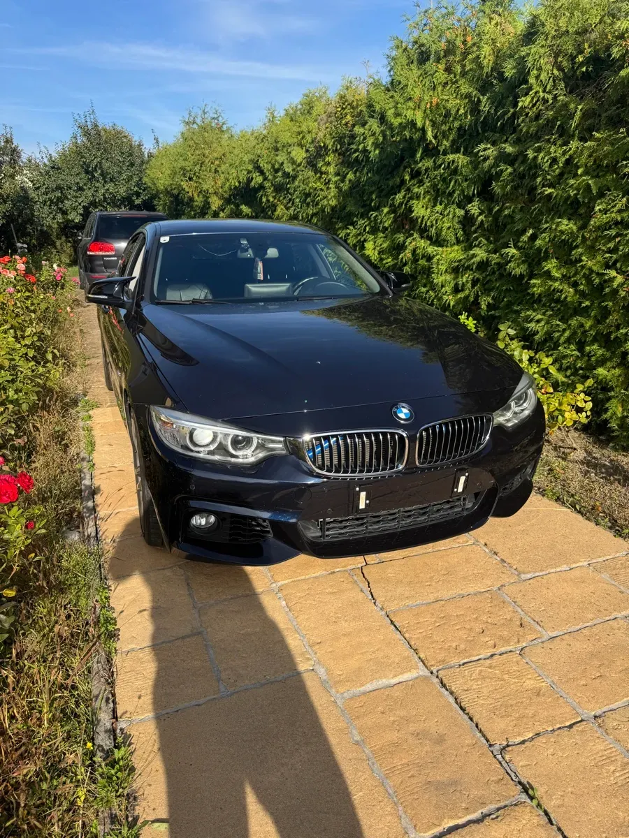 BMW 4 Series 2016 photo 3