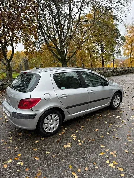 Peugeot 307 2003 photo 3
