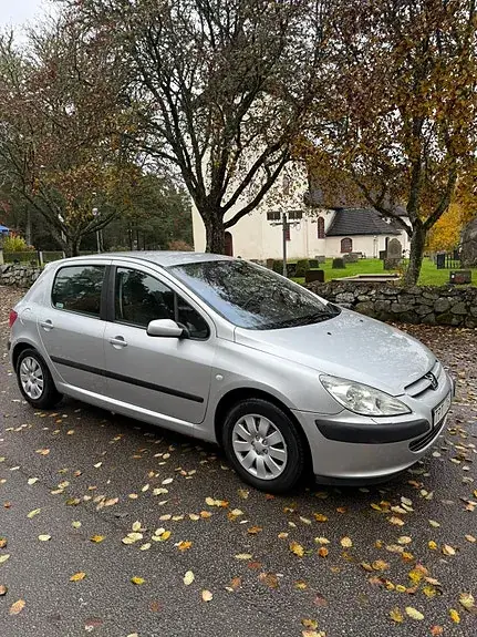 Peugeot 307 2003 photo 4