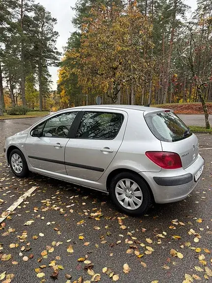 Peugeot 307 2003 photo 2