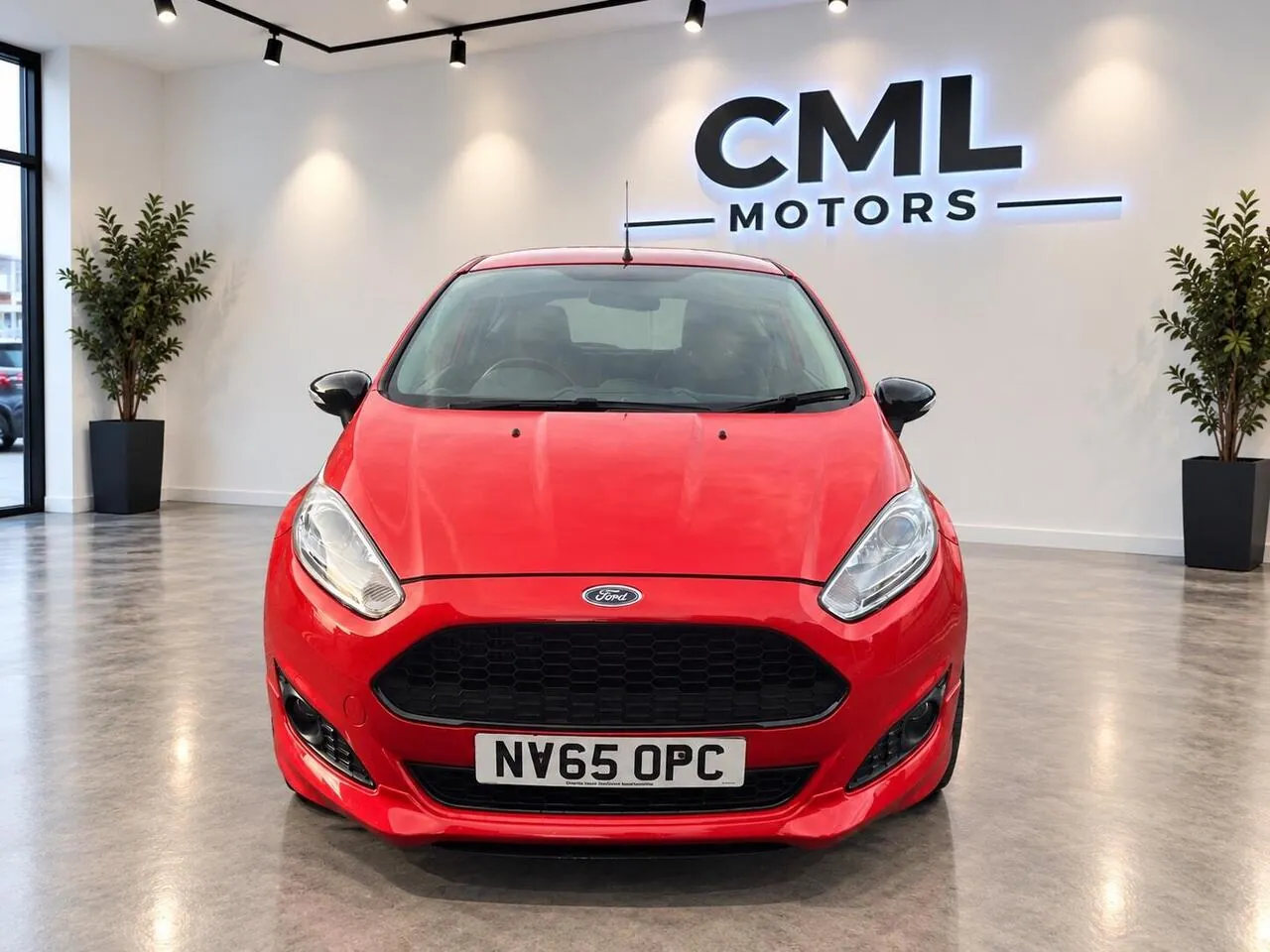 Ford Fiesta 2016 photo 2