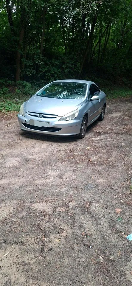 Peugeot 307Cc Cabrio