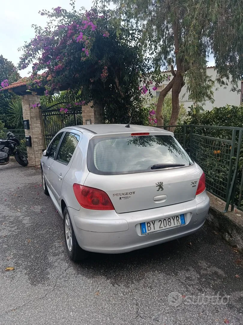 Peugeot 307 2002 photo 2