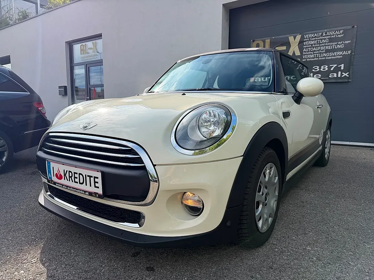 Mini Mini Hatch One