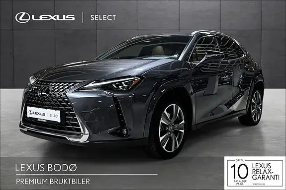 Lexus Ux300E