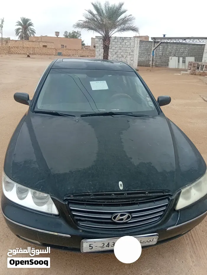 Hyundai Azera 2008 photo 4