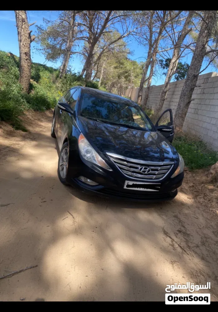 Hyundai Sonata 2012 photo 5