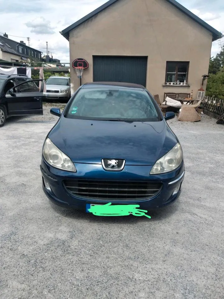 Peugeot 407