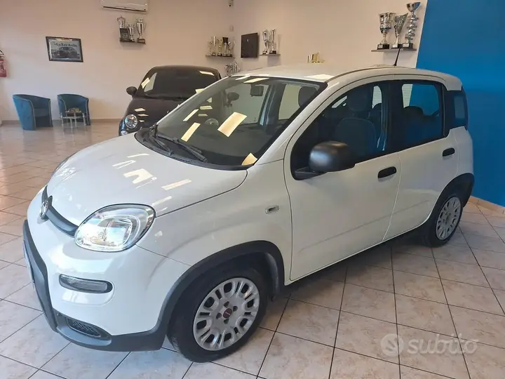 Fiat Panda 2023 photo 2