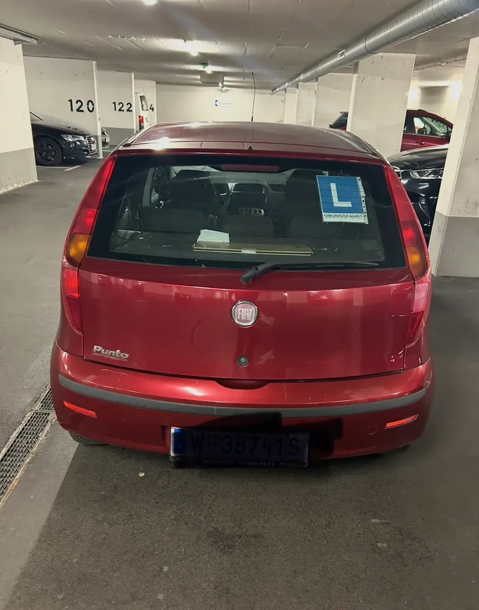 Fiat Punto 2010 photo 2