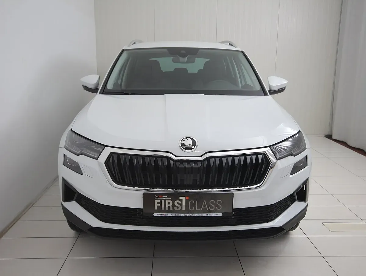 Skoda Karoq 2025 photo 2