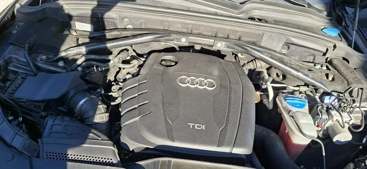 Audi Q5 2013 photo 3
