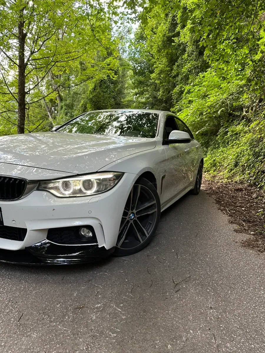 BMW 4 Series 2014 photo 3