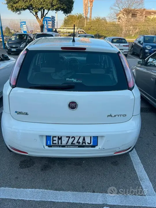 Fiat Punto 2012 photo 4
