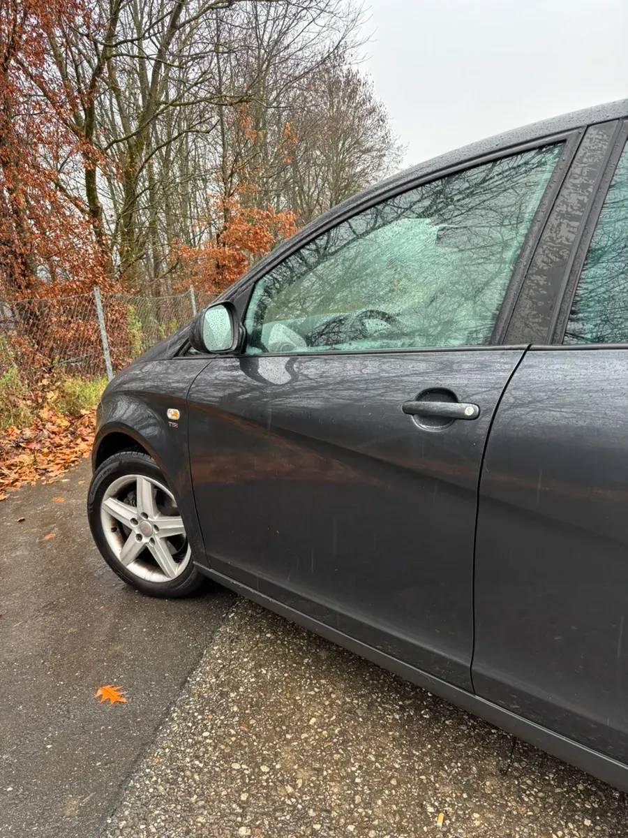 Seat Altea 2010 photo 3