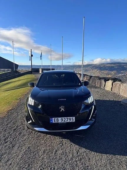 Peugeot E-2008 2020 photo 2