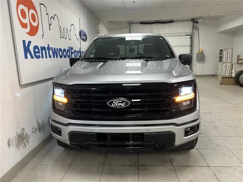 Ford F-150 2024 photo 3