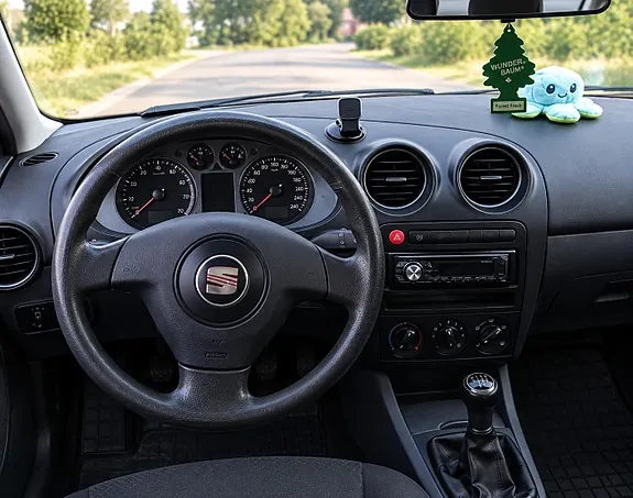 Seat Ibiza 2007 photo 4