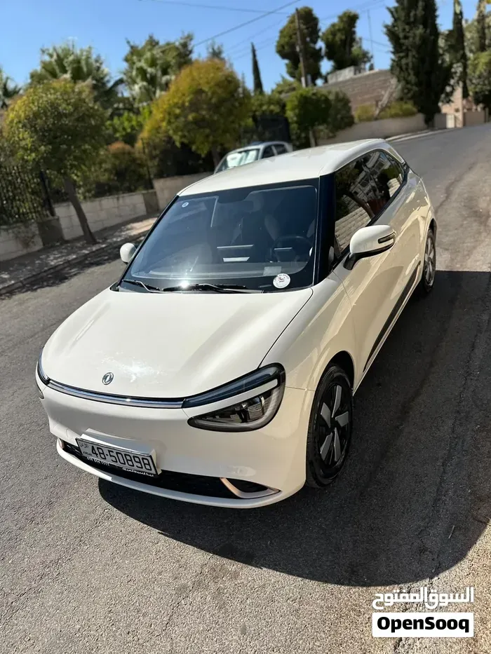 Dongfeng Nammi Box 2024 photo 4