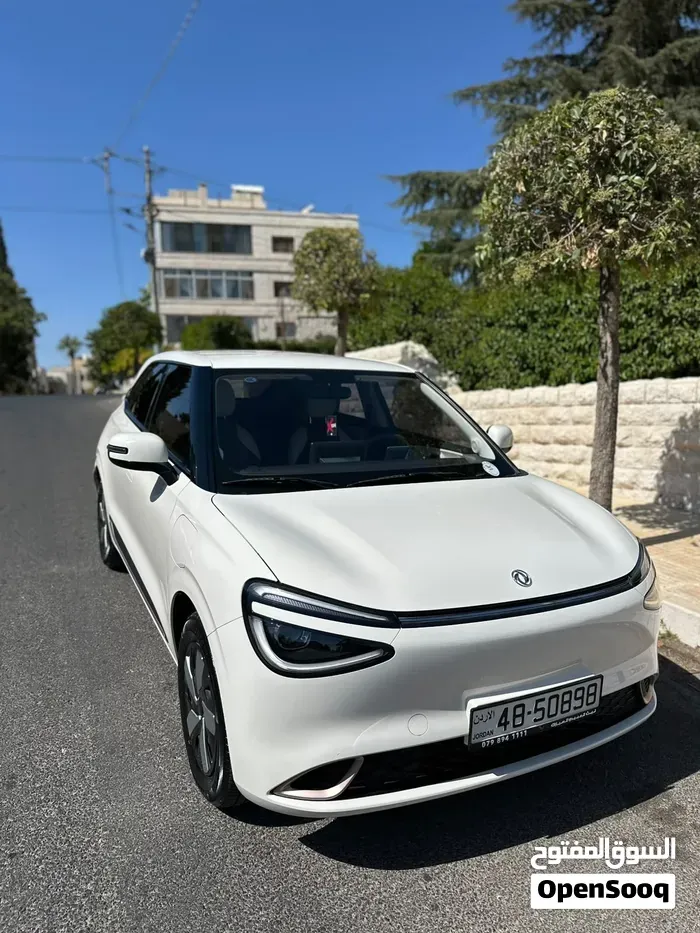 Dongfeng Nammi Box
