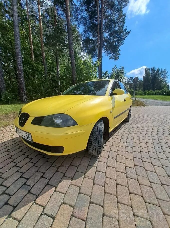 Seat Ibiza 2003 photo 2