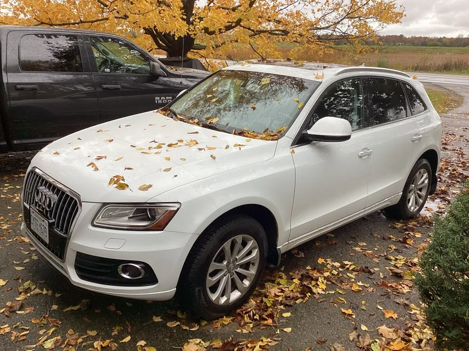 Audi Q5 2015 photo 4