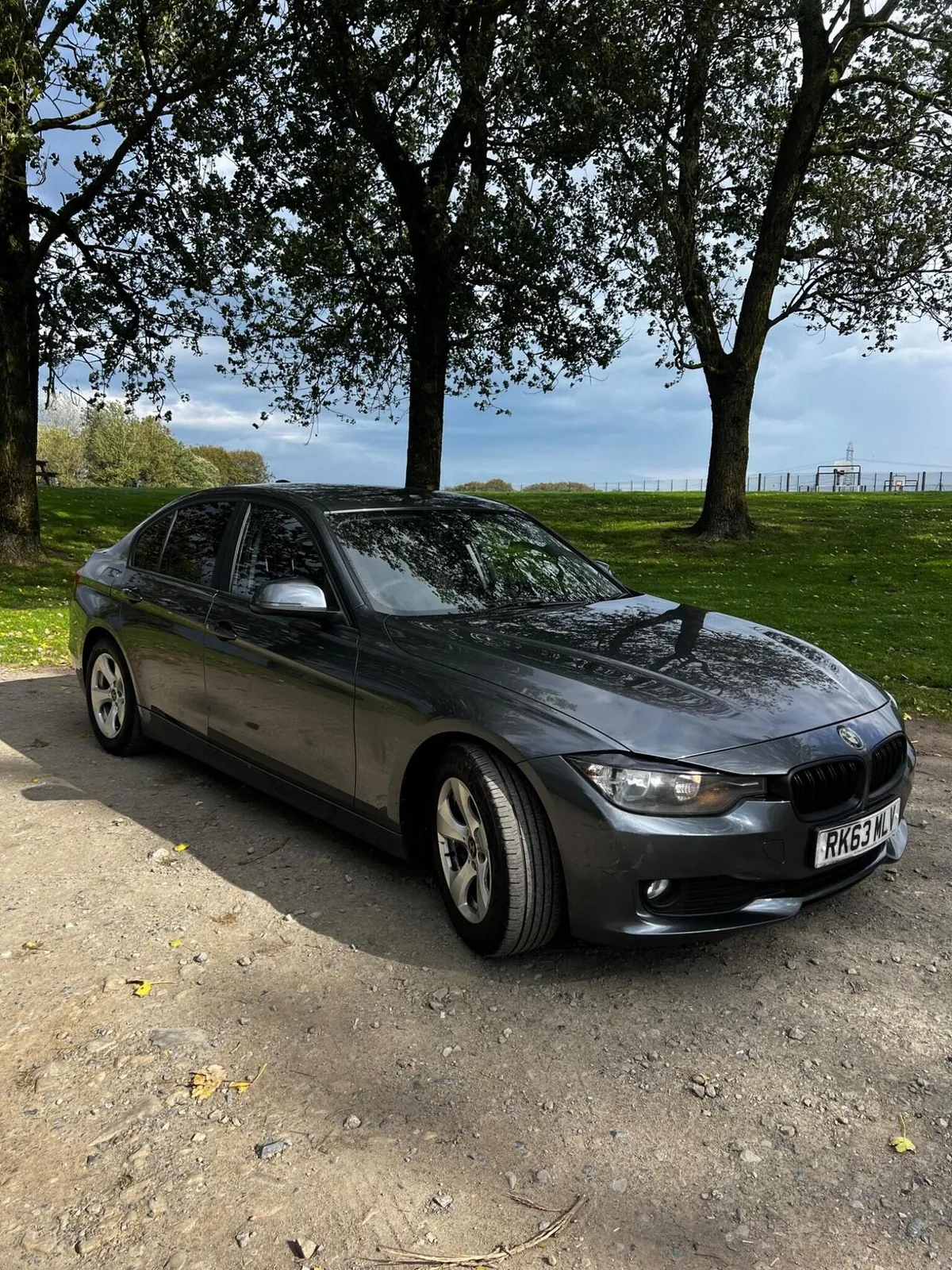 BMW 3 Series 2013 photo 5