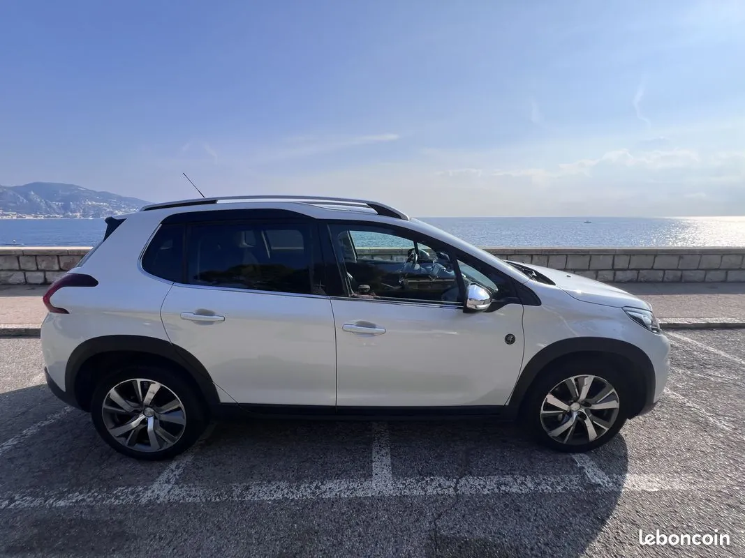 Peugeot 2008 2019 photo 2