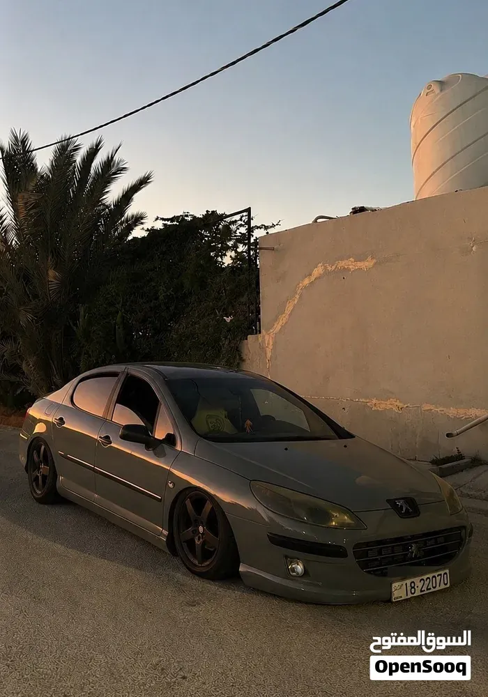 Peugeot 407 2009 photo 4