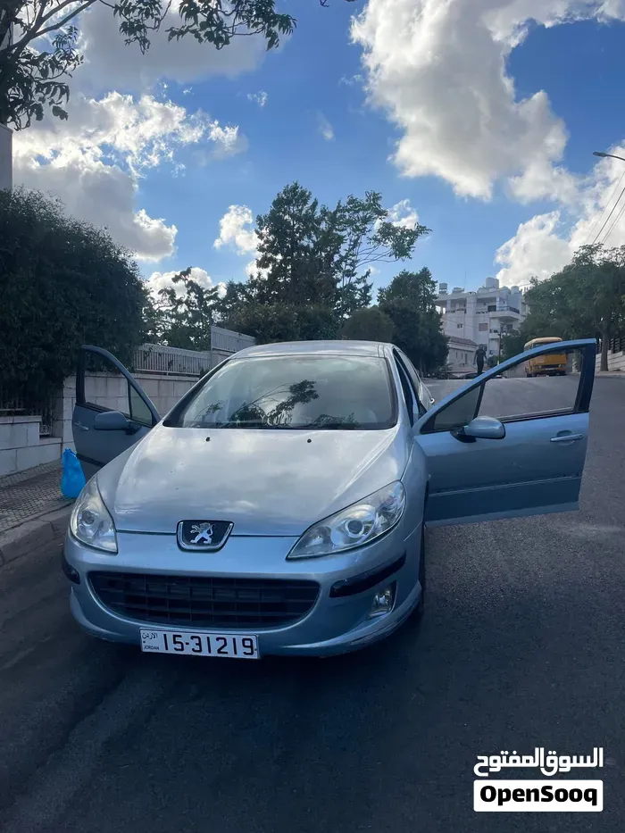 Peugeot 407 2009 photo 5