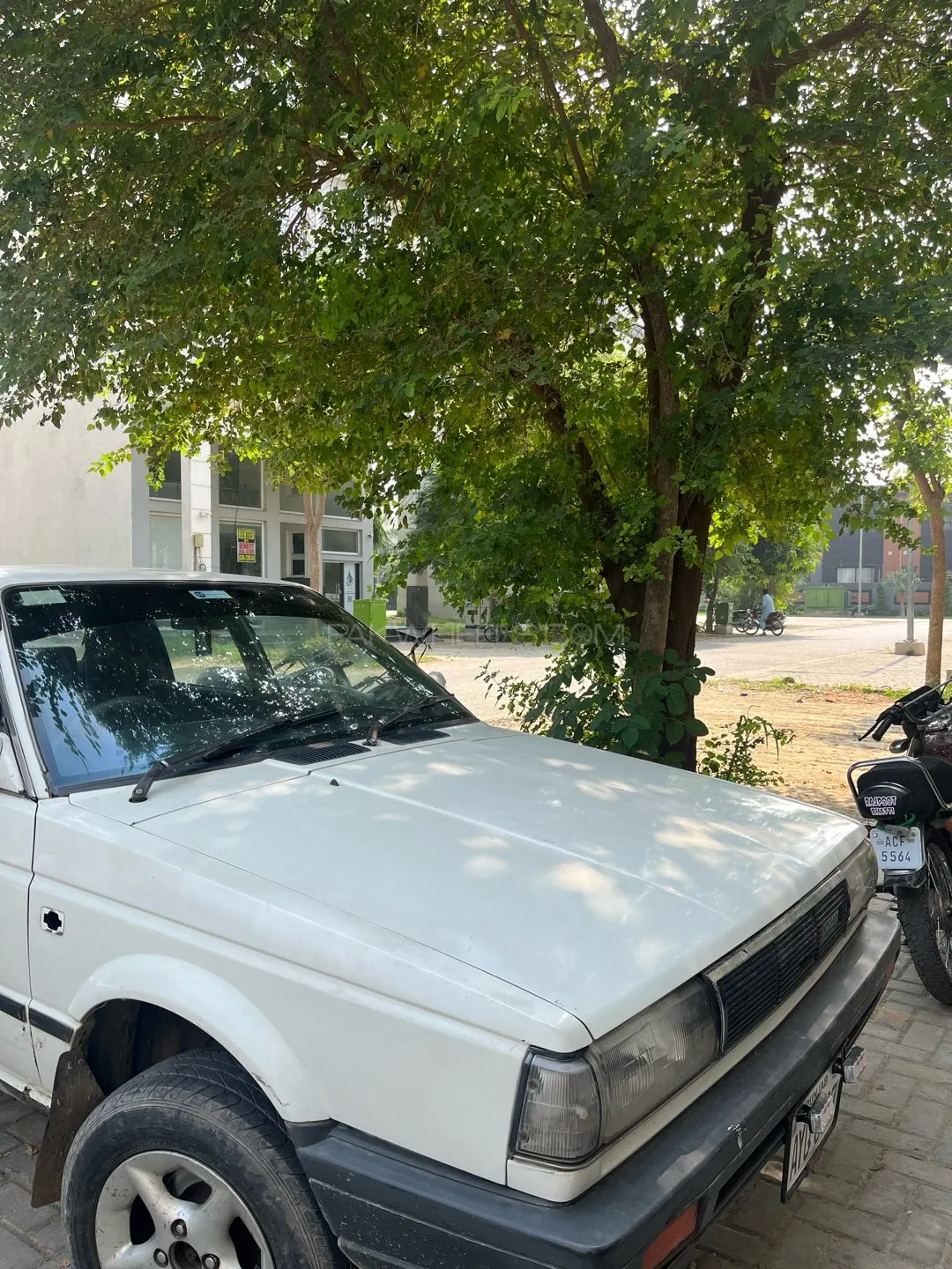 Nissan Sunny