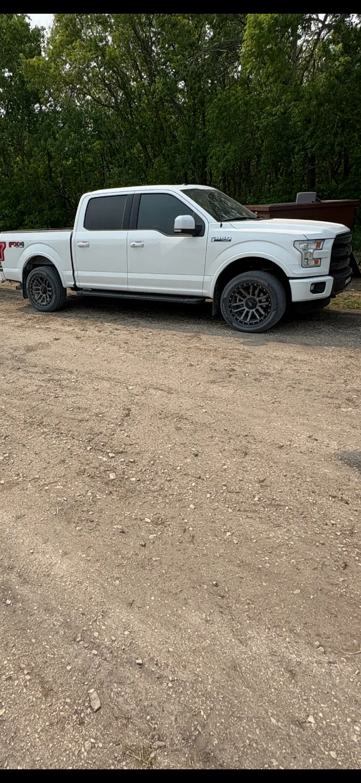 Ford F-150 2015 photo 2