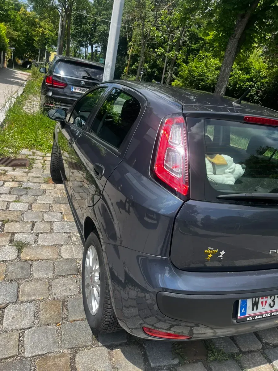 Fiat Punto 2011 photo 2